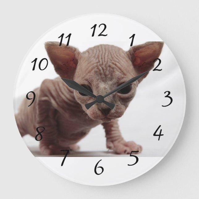 Reloj Redondo Grande Gatito Furless lindo extraño de Sphynx (Anverso)