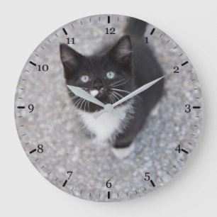 Reloj Redondo Grande Gatito tuxedo