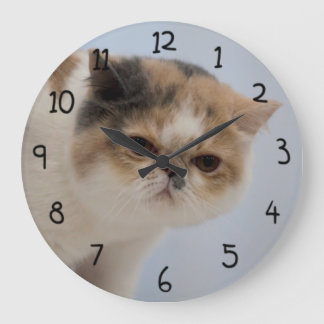 Reloj Redondo Grande Gato gruñón de la cara