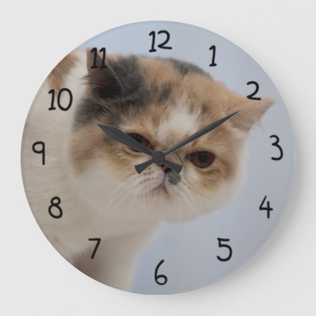 Reloj Redondo Grande Gato gruñón de la cara (Anverso)