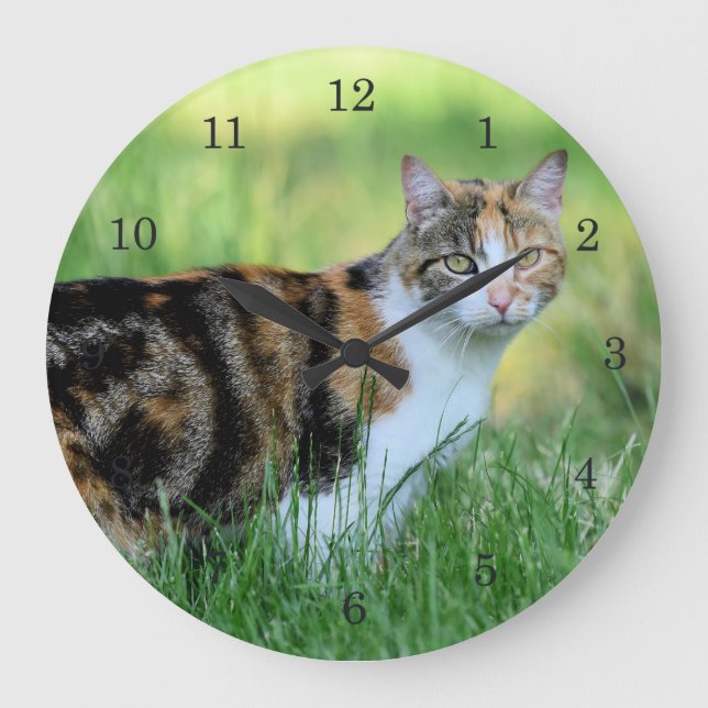 Reloj Redondo Grande Gato marrón y blanco (Anverso)