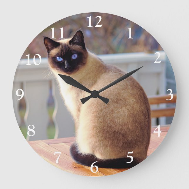 Reloj Redondo Grande Gato siamés con ojos azules y reloj grande (Anverso)