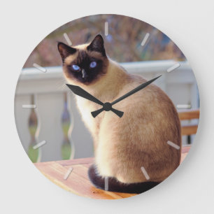 Reloj Redondo Grande Gato siamés observado azul que se sienta temátic