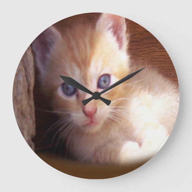 Reloj Redondo Grande Gatos (Anverso)