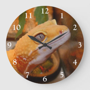 Reloj Redondo Grande Gecko de leopardo amarillo