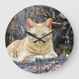 Reloj Redondo Grande Ginger Boy