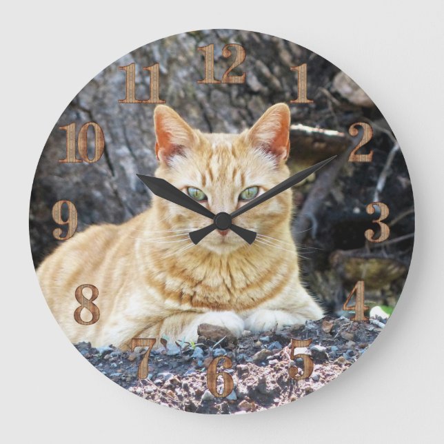 Reloj Redondo Grande Ginger Boy (Anverso)