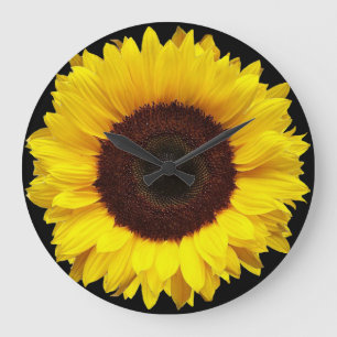 Reloj Redondo Grande Girasol amarillo gigante del jardín en fondo negr