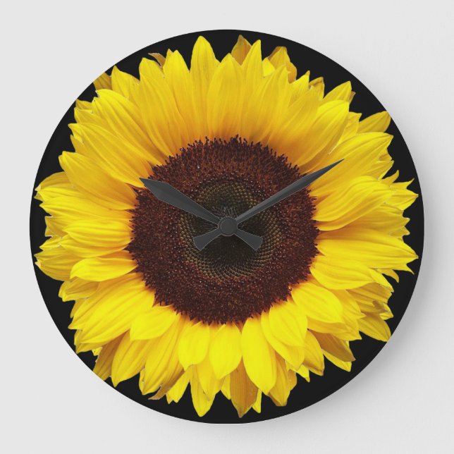 Reloj Redondo Grande Girasol amarillo gigante del jardín en fondo negro (Anverso)