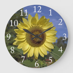 Reloj Redondo Grande Girasol de verano perfecto en cielo azul.