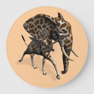 Reloj Redondo Grande Girphant Or Eleffe