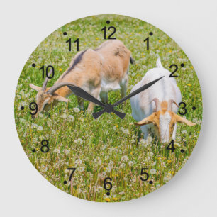 Reloj Redondo Grande Goats Farm Animals Large Clock