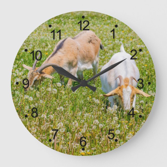 Reloj Redondo Grande Goats Farm Animals Large Clock (Anverso)