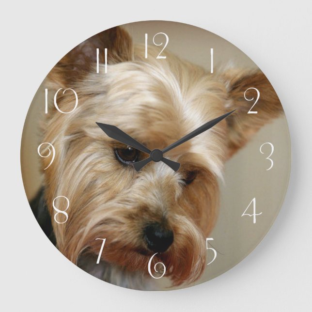 Reloj Redondo Grande Gorgeo Yorkshire Terrier (Anverso)