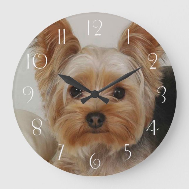 Reloj Redondo Grande Gorgeous Yorkshire Terrier (Anverso)