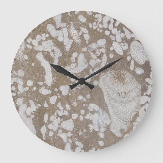 Reloj Redondo Grande Gorra de fósiles devoniana (Anverso)