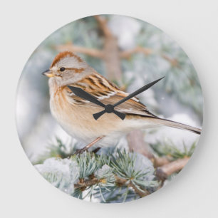 Reloj Redondo Grande Gorrión de árbol americano en invierno
