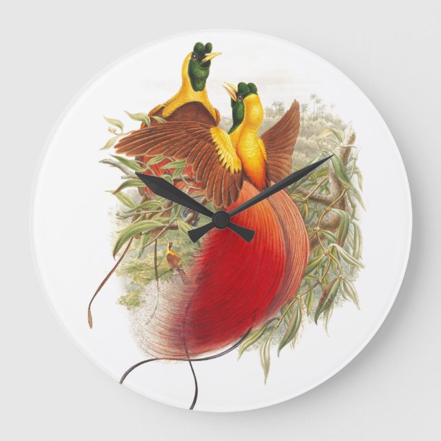 Reloj Redondo Grande Gould Birds of Paradise Wall Clock (Anverso)