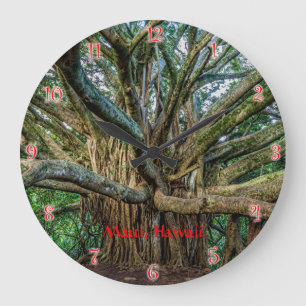 Reloj Redondo Grande Gran árbol de Banyan a lo largo del sendero Pipiwa