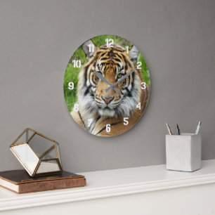 Reloj Redondo Grande Gran Foto de Tigre de Sumatra