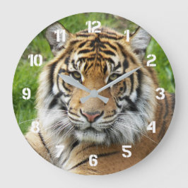 Reloj Redondo Grande Gran Foto de Tigre de Sumatra
