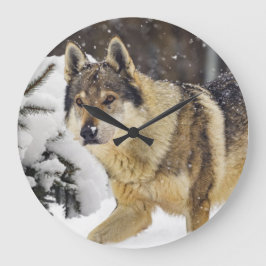 Reloj Redondo Grande Gran Hermoso Lobo Gris Salvaje en la nieve
