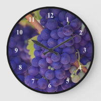 Gran manada de uvas jugosas púrpura