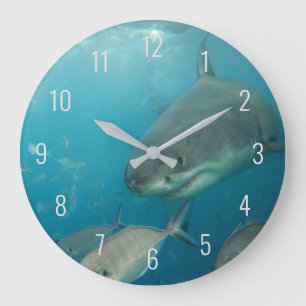 Reloj Redondo Grande Gran tiburón blanco cerca de Australia subacuática