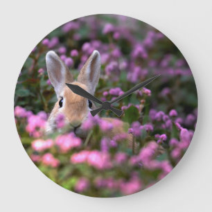 Reloj Redondo Grande Granja del conejo