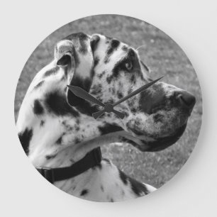 RELOJ REDONDO GRANDE GREAT DANE