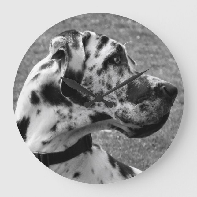 RELOJ REDONDO GRANDE GREAT DANE (Anverso)