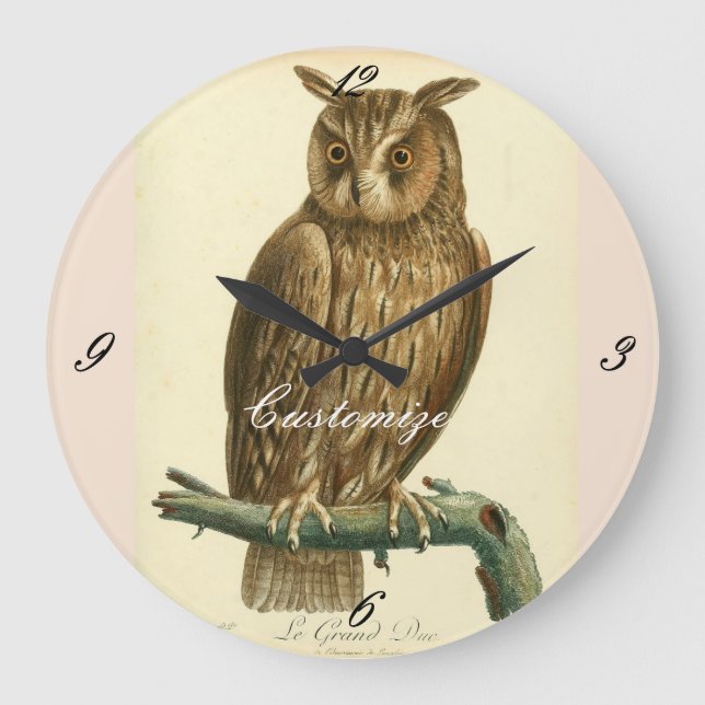 Reloj Redondo Grande Great Horned Owl Thunder_Cove (Anverso)