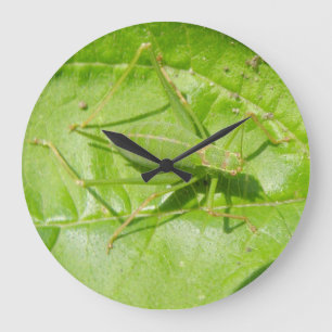 Reloj Redondo Grande Green Cricket Camouflage Wall Clock