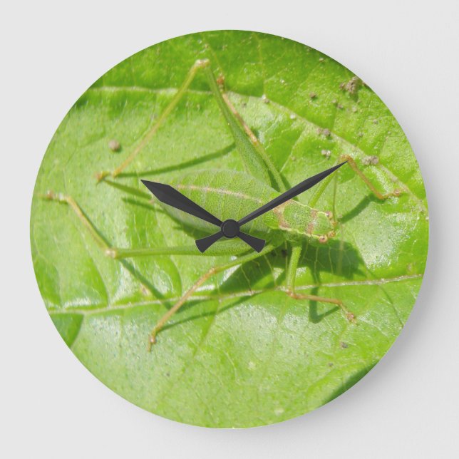 Reloj Redondo Grande Green Cricket Camouflage Wall Clock (Anverso)
