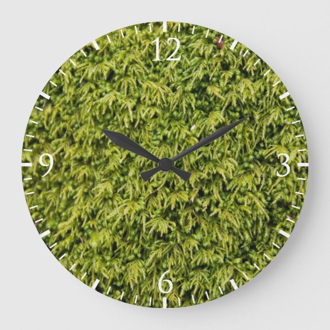 Reloj Redondo Grande Green Moss (Anverso)