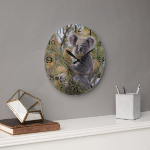Reloj Redondo Grande Grevillea Koala Bear,