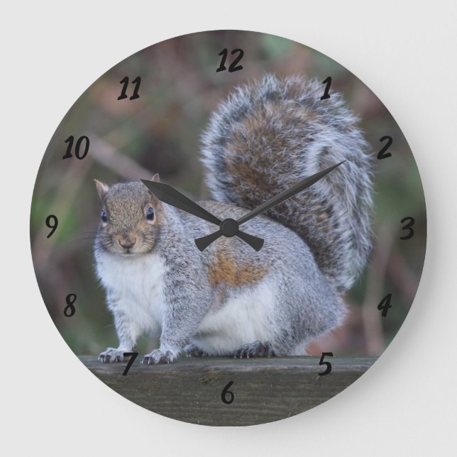 Reloj Redondo Grande Grey Squirrel on Large Round Clock (Anverso)