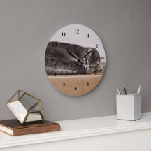 Gris Gris Gris Cuidadoso Gato Durmiendo En La Caja