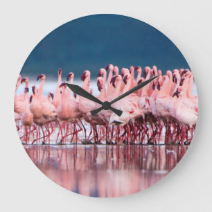 Reloj Redondo Grande Grupo grande de pocos flamencos