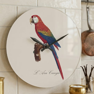 Reloj Redondo Grande Guacamayo Escarlata o Guacamayo Macao, Ara macao