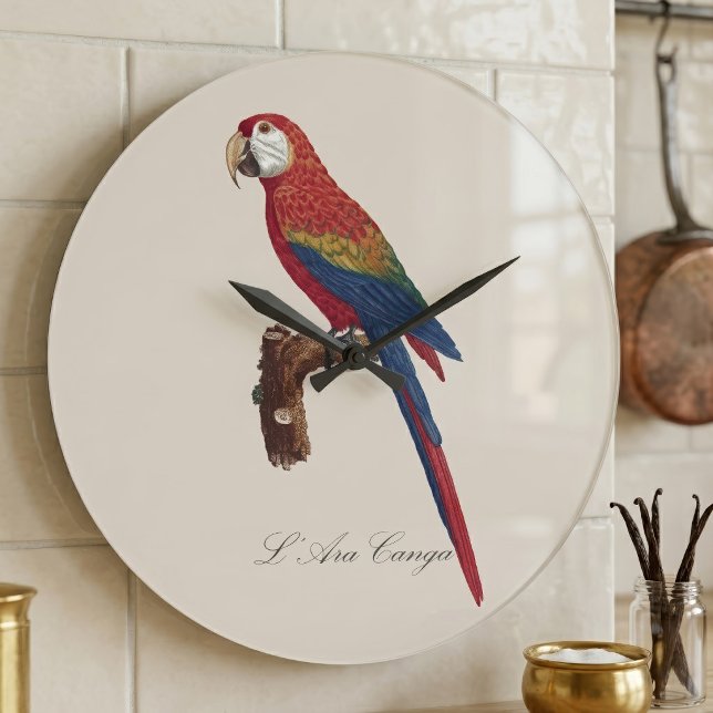Reloj Redondo Grande Guacamayo Escarlata o Guacamayo Macao, Ara macao (Scarlet Macaw or Red-Breasted Macaw, Ara macao. Large Clock )