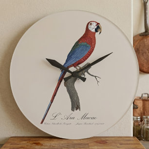 Reloj Redondo Grande Guacamayo rojo y verde, Ara chloropterus