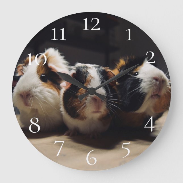 Reloj Redondo Grande Guinea pig (Anverso)