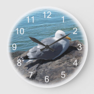 Reloj Redondo Grande Gull de arenque en un muelle de rock