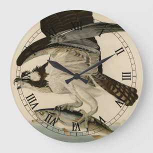 Reloj Redondo Grande Halcón de pescado, Osprey, de los pájaros estadoun
