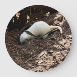 Reloj Redondo Grande Hambre incansable: Meerkat blanco cavando para com