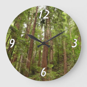 Reloj Redondo Grande Hasta Redwoods I en el Monumento Nacional Muir Woo