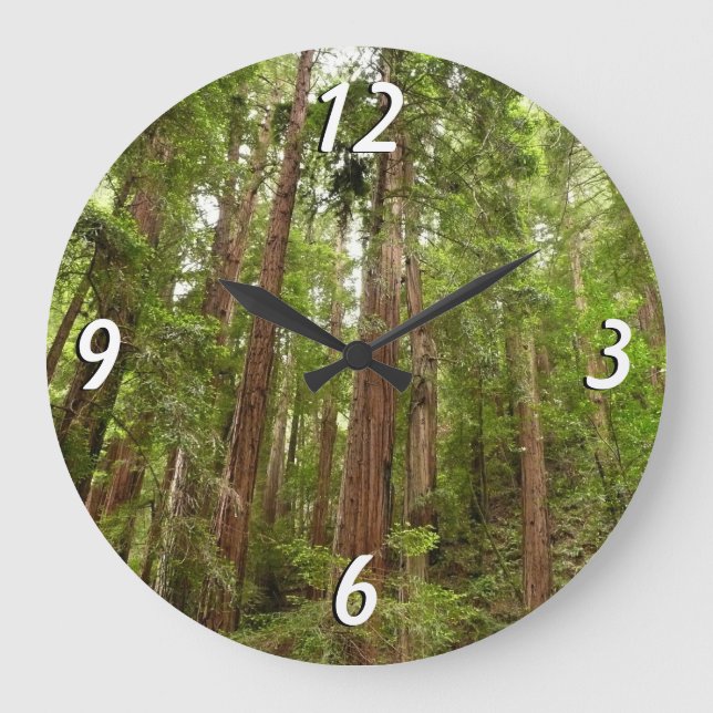 Reloj Redondo Grande Hasta secuoyas en el Monumento Nacional Muir Woods (Anverso)