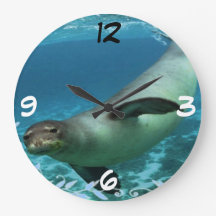 Hawaiian Monk seal Wall Clock