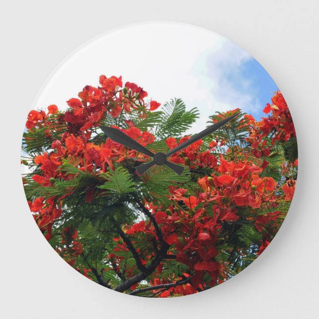 Reloj Redondo Grande Hawaiian Royal Poinciana Flowering Tree (Anverso)